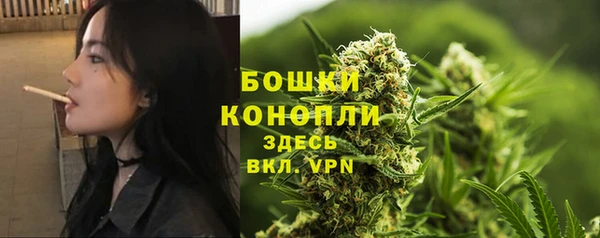 амф Верея