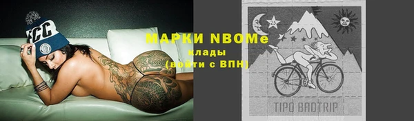 амф Верея