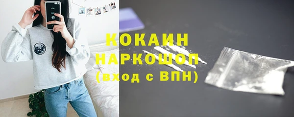 сатива Верхний Тагил