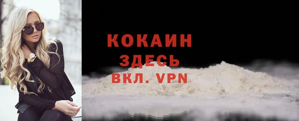 амф Верея