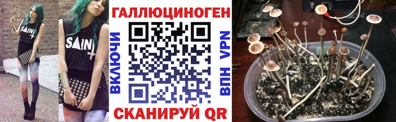 Галлюциногенные грибы прущие грибы  что такое наркотик  ссылка на мегу ТОР  Ростов 